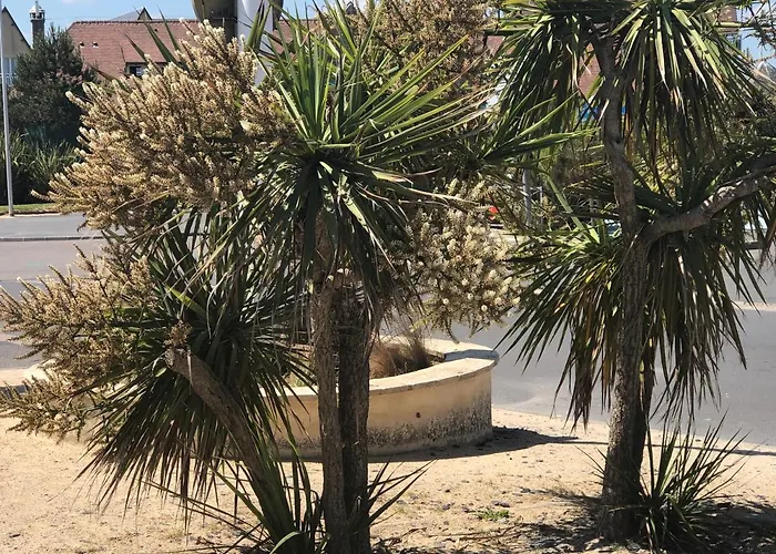 Apartamento Le 84 Courseulles-sur-Mer